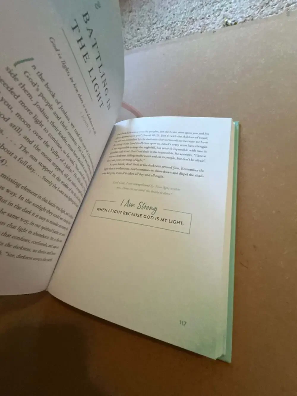 Strong: Devotions to Live a Powerful & Passionate Life by Lisa Bevere (Hardcover